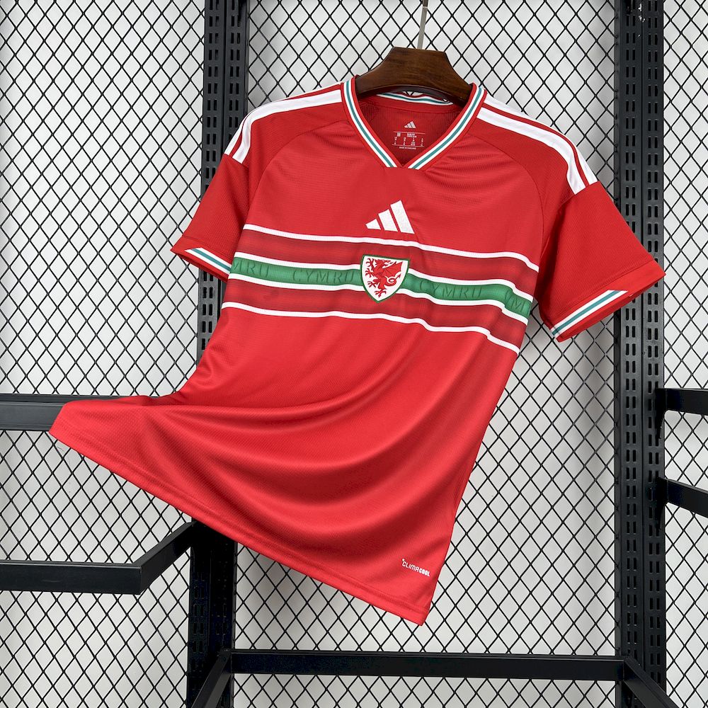 Camisa Copa do Mundo Titular Wales 2026 Masculino