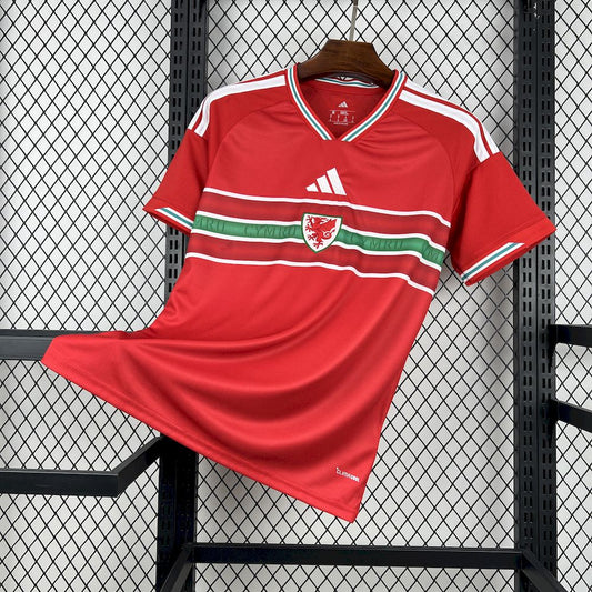 Camisa Copa do Mundo Titular Wales 2026 Masculino